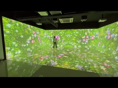 Muurprojectie en vloerprojectie voor musea