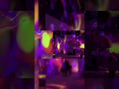 Museum Interactieve Muurprojectie Immersive Projector 4/5/6 Kanaal