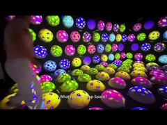 Vermaakpark Indoor Kleurrijk Bouncy Ball Game Interactieve Jumping Ball Projectie