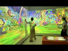 Scanner Versie 3D AR Indoor Multi Scene Interactieve schilderwerk Muurprojectie