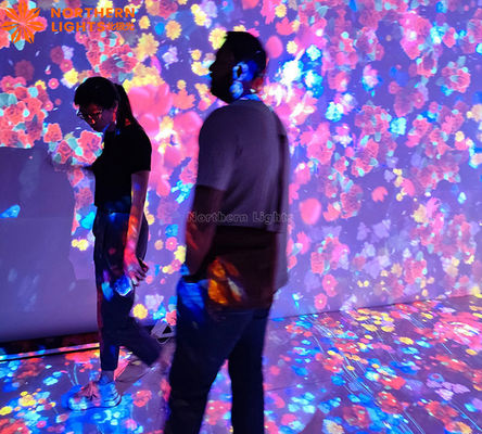 Goede prijs Projectie scherm systeem holografische meeslepende dynamische digitale kunst online