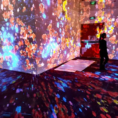 Goede prijs Kunsttentoonstellingsapparatuur Immersive projector Interactieve projectie binnen online