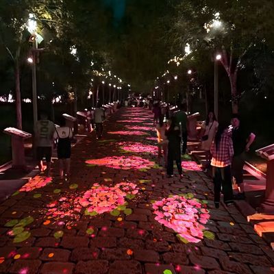 Goede prijs Interactieve projectie in de buitenlucht Ground projection Immersive projection online