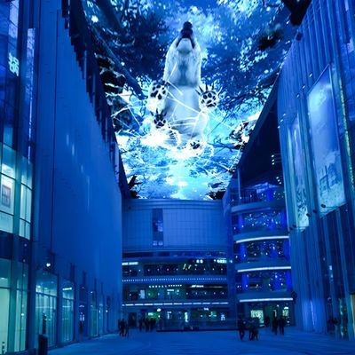 Goede prijs 10000 Lumen Night Sky Projection Immersive Projector voor zakelijke straten online