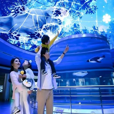 Goede prijs Aanpasbaar Magic Sky Screen Hologram Canopy Projection Interactieve projector online