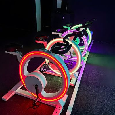 Goede prijs Northern Lights Racing Bike Simulator Spelmachine Racing Projectie online