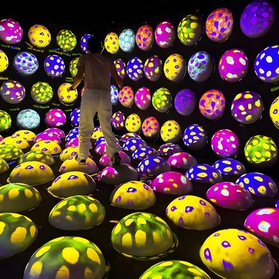Goede prijs Indoor Creativity Magic Interactieve Bouncy Ball Projection Game online