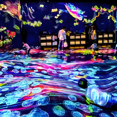 Goede prijs Ondersteuning bij het ontwerpen en installeren van de uitrusting van de kamer voor een personalisatie van immersive projecties online