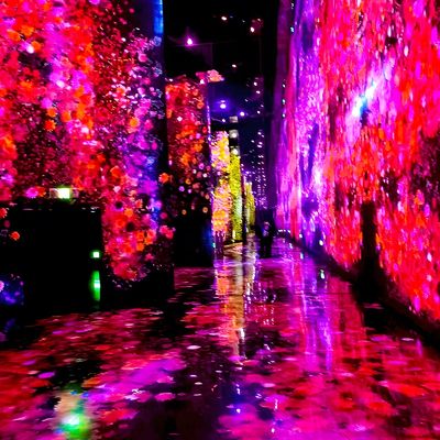 Goede prijs Immersive Romantic 360 Wall Projection System Immersive kunsttentoonstelling projector online