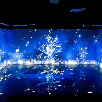 Goede prijs Kamerversieringen Digitaal kunstmuseum tentoonstelling 3d Immersive Mapping Projector online