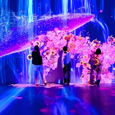 Goede prijs 3D-Holographic Interactive Wall Projection Software Projector online