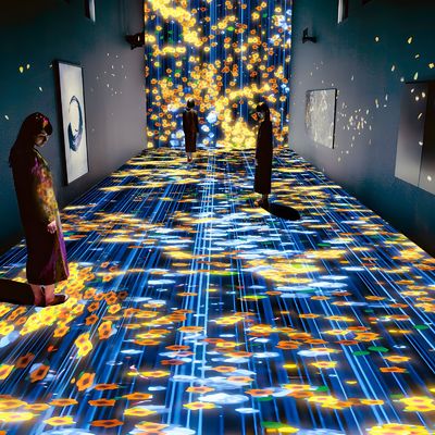 Goede prijs Inhoudelijke interactieve projector online