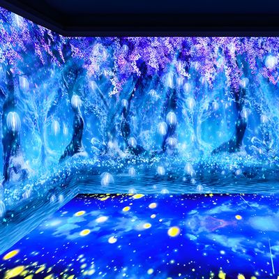 Goede prijs 3D-projector Immersive Experience Ground Wall Projection voor musea online