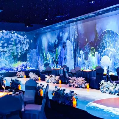 Goede prijs Interactieve muurprojectie online