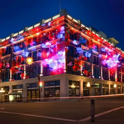 Goede prijs Outdoor Laser Light Show Machine Animatie Show Laser Commerciële lichten Projector online