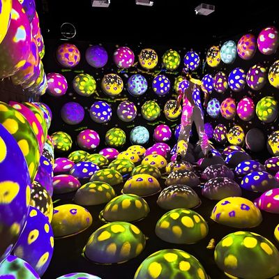 Goede prijs Cool Jump Space Creativiteit Kleurrijk Interactief Indoor Jump Bouncing Ball Game online