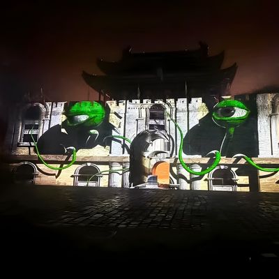 Goede prijs Mapping 3D Façade Projector Hall Architectuur Projectieve textuur Animatie Gekrompen scherm online
