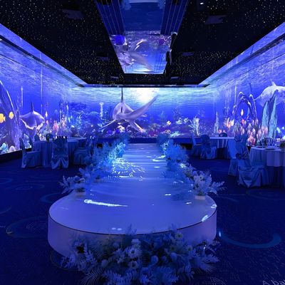 Goede prijs Multi Projection 3D Interactieve Immersive Projector Holografische projectie online