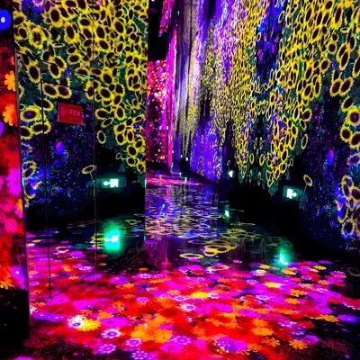 Goede prijs Meerdere kanalen Immersive Room Projector Immersive Wall Interactieve Projectie online