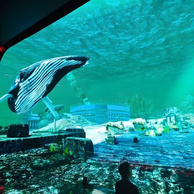 Goede prijs 3d Hd Immersive Viewing Led Display Scherm Hangend Glas Hologram Cinema online