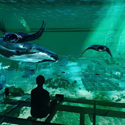 Goede prijs Fabriek Custom Indoor Led 5 Fold Screen Immersive 3D Holographic Theater Viewing online