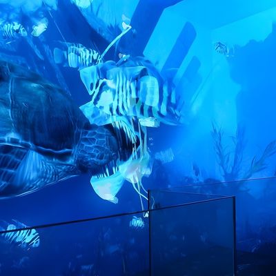 Goede prijs VR Immersive Cinema Dynamic Simulator Cinema Led Screen Voor tentoonstellingszaal online
