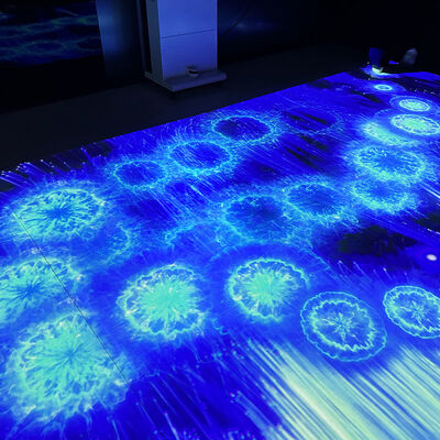 Goede prijs Portable Mobile Interactive Floor Projection System with 1280*800 Resolution and 110V-250V Voltage online